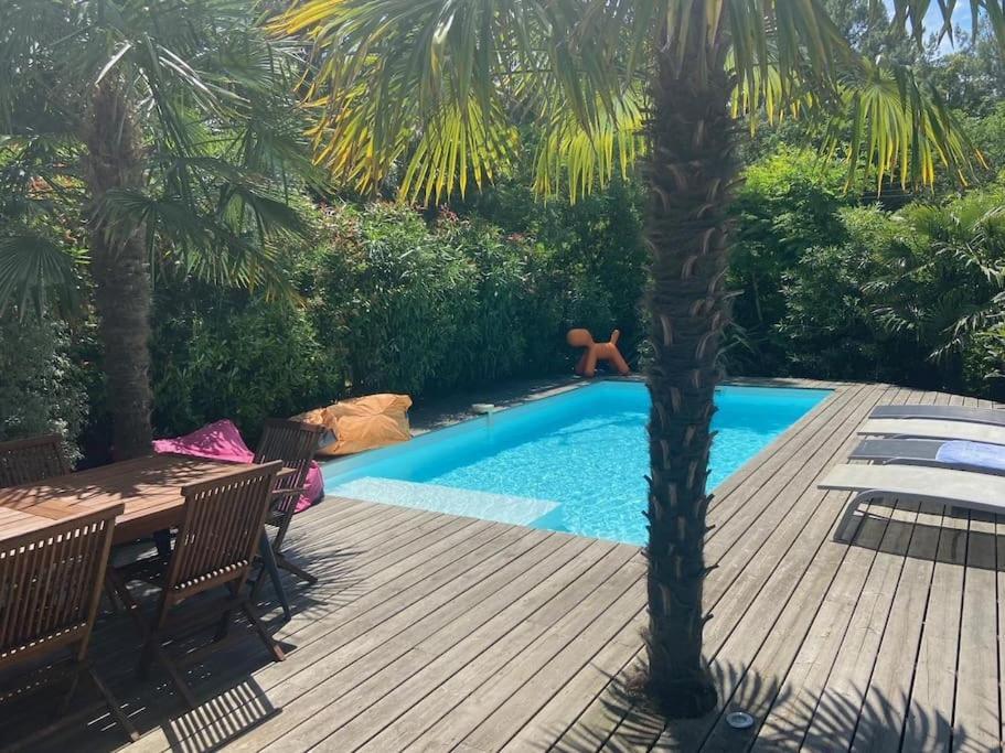 Villa Arcachon 12 Pers Avec Piscine Chauffee 1 Mai Au 30 Sept Eksteriør bilde