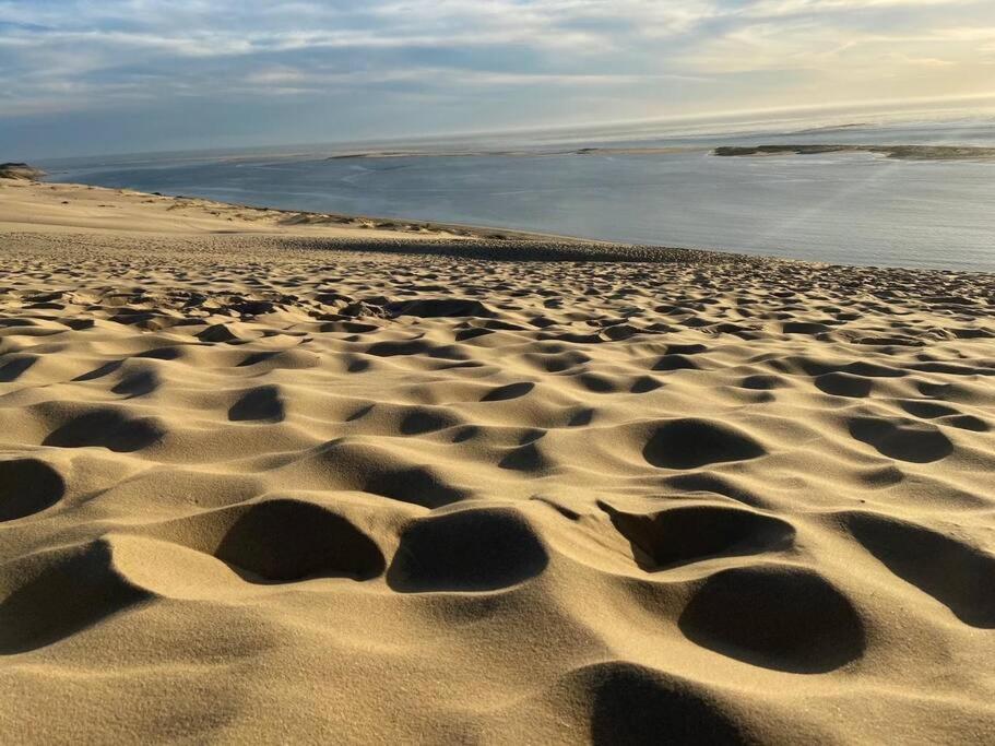 Villa Arcachon 12 Pers Avec Piscine Chauffee 1 Mai Au 30 Sept Eksteriør bilde