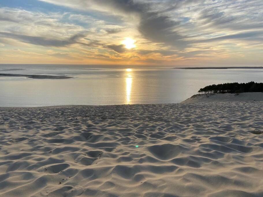 Villa Arcachon 12 Pers Avec Piscine Chauffee 1 Mai Au 30 Sept Eksteriør bilde