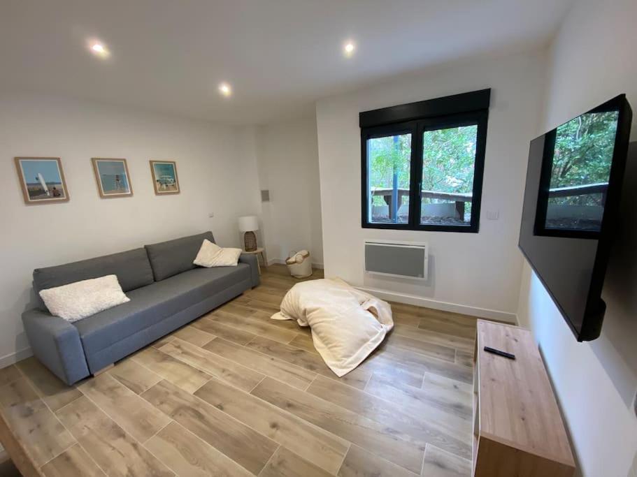 Villa Arcachon 12 Pers Avec Piscine Chauffee 1 Mai Au 30 Sept Eksteriør bilde